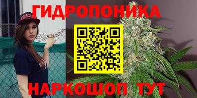 дмт Кунгур
