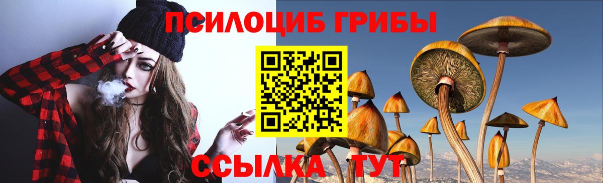 хочу наркоту  Псилоцибиновые грибы Psilocybe  Вход с VPN  Дубна 